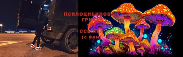 гидропоника Покачи
