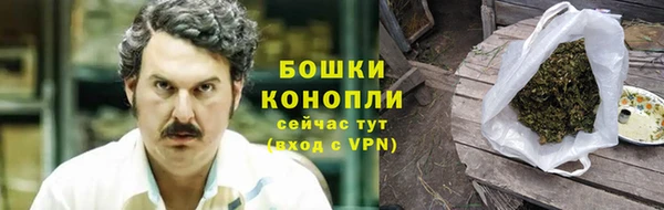 сатива Абинск