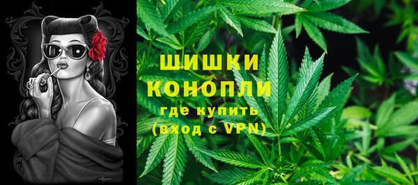 сатива Абинск