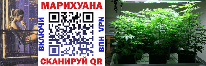 Бошки марихуана SATIVA & INDICA  Ковдор 